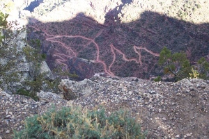 Grand Canyon trails